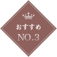 おすすめ NO.3